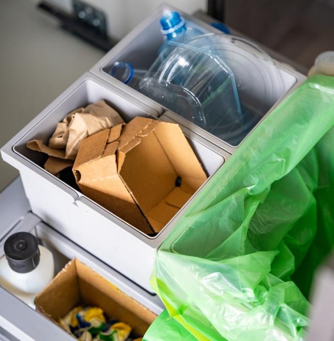 В Петербурге назвали лидеров и аутсайдеров по доступности сортировки