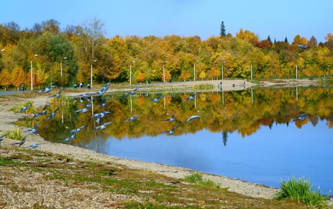Уфа стала самым экологически чистым городом России в 2013 году