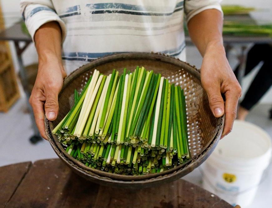 Во Вьетнаме заменили пластиковые соломинки стеблями растений