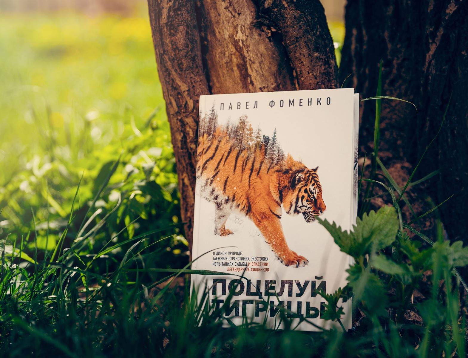 Сторонников WWF России приглашают на онлайн-встречу 
