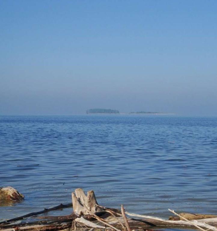 До конца года очистят 150 рек и озер Новосибирской области