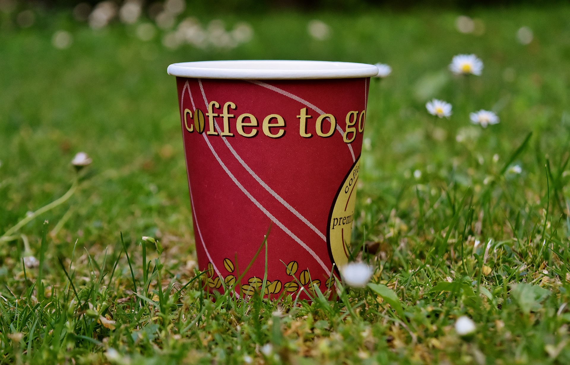 Одноразовые стаканчики для кофе и контейнеры на вынос запретят в Ванкувере