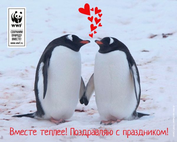 WWF приготовил экологичные валентинки ко Дню всех влюбленных